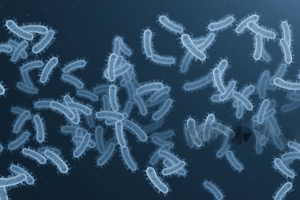 How to Prevent Legionella Bacteria in Cooling Towers