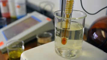Vital Role of Chemicals