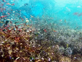 Challenge of Microplastic