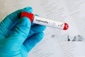 bakteri legionella