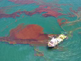 Waste Oil in Water