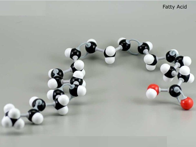 Betagard Free Fatty Acid Enzyme