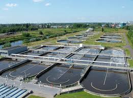 Cationic Polymer for Sludge Dewatering | Beta Pramesti